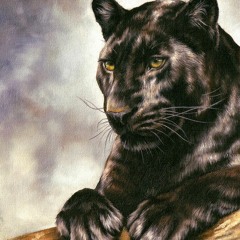 PANTHER