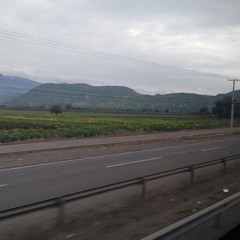 363N63 • King Krule Slowed & Reverb