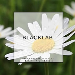 Blacklab Selects Vol 3: Spring 2021