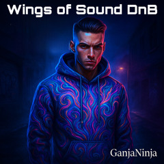 Wings of Sound DnB