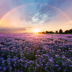 Mmm Ambience