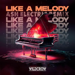 Wildcrow - Like A Melody (Ash Electric Remix)