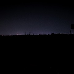 backyard beetle - patio