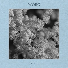 ÆXXIX - Worg (Live)