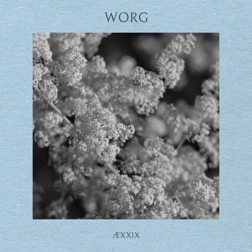ÆXXIX - Worg (Live)