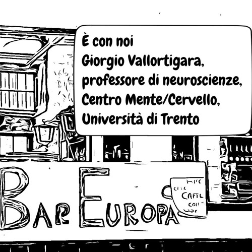 33 Puntata, 8 Stagione, 27.09.24 Bar Europa, Michele Gerace e Giorgio Vallortigara