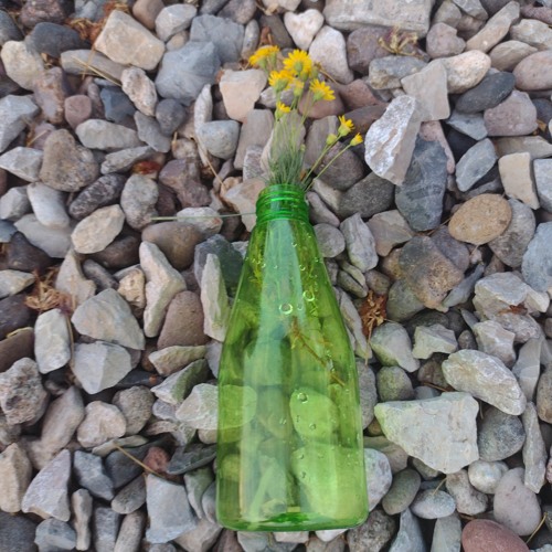After Bottle
