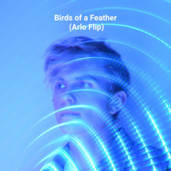 Birds of a Feather - Arlo Flip