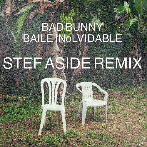 Bad Bunny - BAILE INoLVIDABLE (Stef Aside Remix)