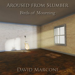 Birds of Mourning: Extended Version