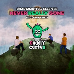 CHARIZMATIC & Elle Vee - Never Really Gone (Nico Brey Remix)