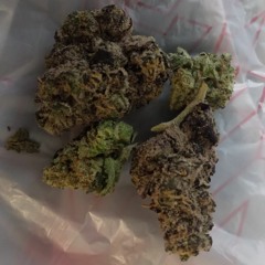 Untitled Playlist