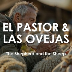 EL Pastor & Las Ovejas