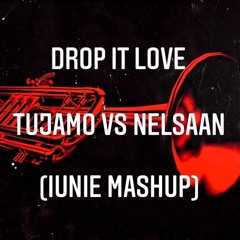 Drop It Love - TUJAMO VS NELSAAN ( IUNIE MASHUP ) [BUY = FREE D/L]