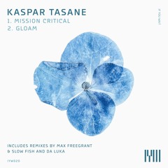 Kaspar Tasane - Gloam (Da Luka Remix) low q snip