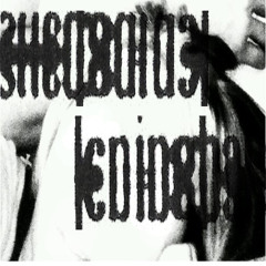 Leninghaus #1 (10/04/25)