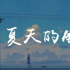 饭思思 - 夏天的风 (温柔女声版)【動態歌詞/Lyrics Video】