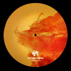 [PREMIERE] | Gannein - Intrusive Thoughts [SYEP027]