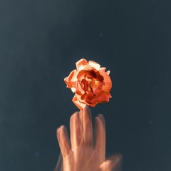 I Just Need You (Stream on Spotify/Apple/etc...)