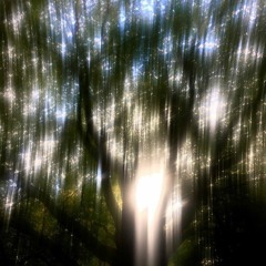 Astigmatic Ways of Looking