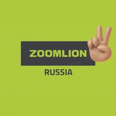 Zoomlion 2