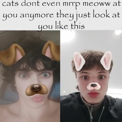 crashout (feat. faruk)