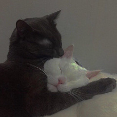 لابو اللي يزعلك..