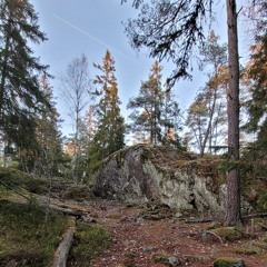 mediopassivum
