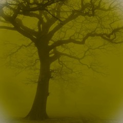Feeling lost on a foggy morning - Nebbia fitta, fuori e dentro