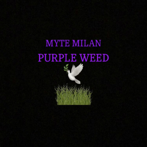 Purple Weed Prod. Seismic