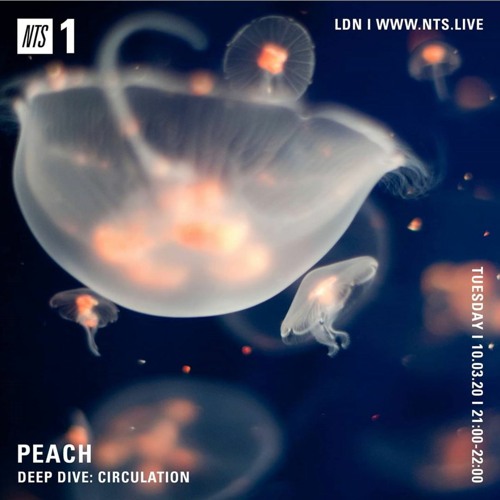 Peach 026 - DEEP DIVE: Circulation