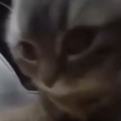 André Hazes Jr. - Leef (Hardstyle Remix)