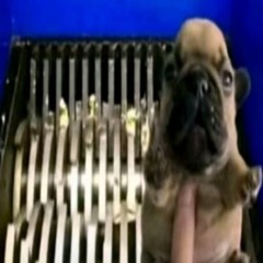 pressure @sawedoff *boom yay mix*