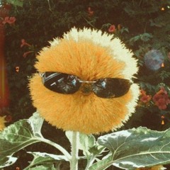 ･:*࿔.ೃ⋆❀°*°•  reconnecting with nature  •°*°❀⋆.ೃ࿔*:･