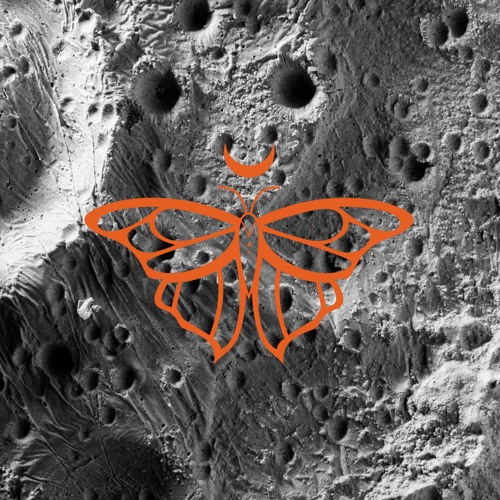 Vešča - Podcast 10 (Metamorphosis)