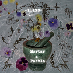Mortar & Pestle