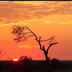 Deepest Reflections - OB FLOW & RARECHYLD. Original music by Pretty Lights.🎤🎤🎤🎤🎤