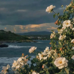 am i what you need? (inuyasha)