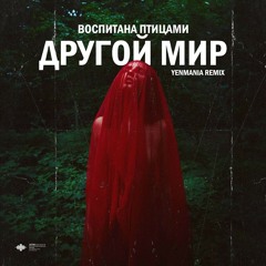 Воспитана Птицами - Другой Мир (Yenmania Remix)