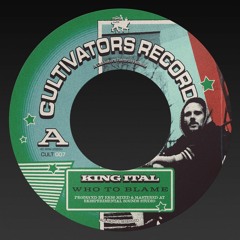 KING ITAL-WHO TO BLAME