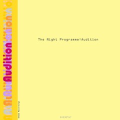 The Night Programme - Audition