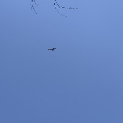 Fall From The Sky