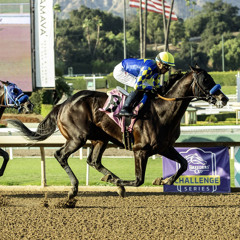 My Race Call Of The 2025 Santa Anita Sprint Championship During Autumn Meet At Santa Anita Racetrack