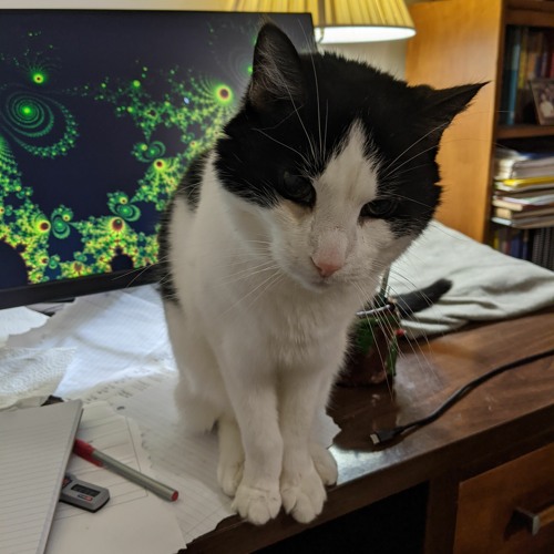 Palentine 2024 - 02 - 10