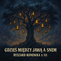 Idę przez wieś