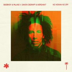 Badbwoy & Palane v. damon deGraff & merchant - no woman no cry (starry nights)