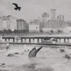 क्रान्तिस्य आगन्तुकः🍊