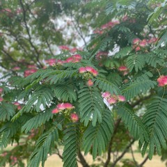 Something Complete And Great, October 22nd 2023