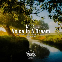 MLDJ - Voice In A Dream (Original Mix) [SMLD074]