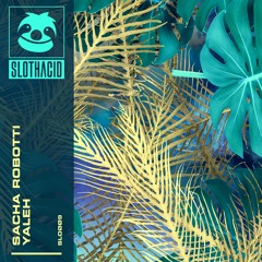 Sacha Robotti - Yaleh (Slothacid) [thatDROP Premiere]
